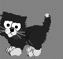 this is a cat(z)
